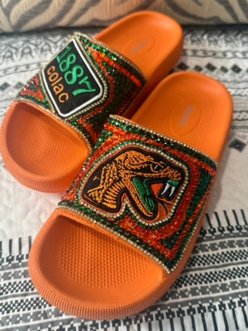 BLINGED FAMU SLIDES