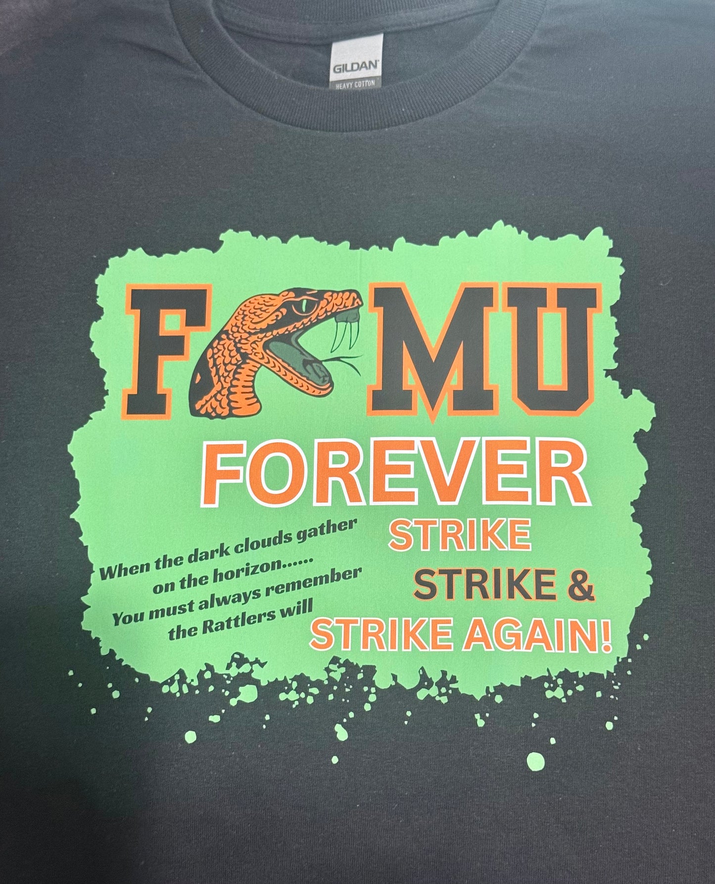 FAMU FOREVER Humphries Era