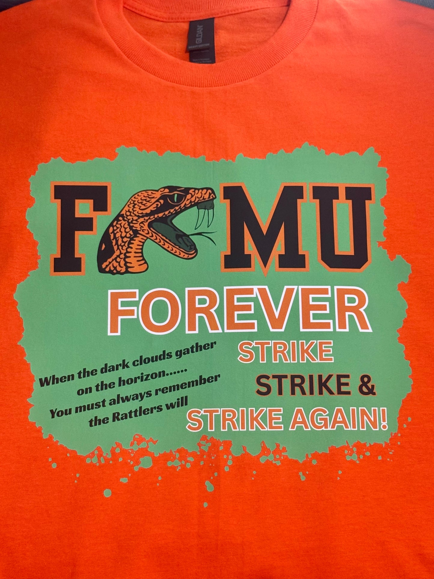 FAMU FOREVER Humphries Era