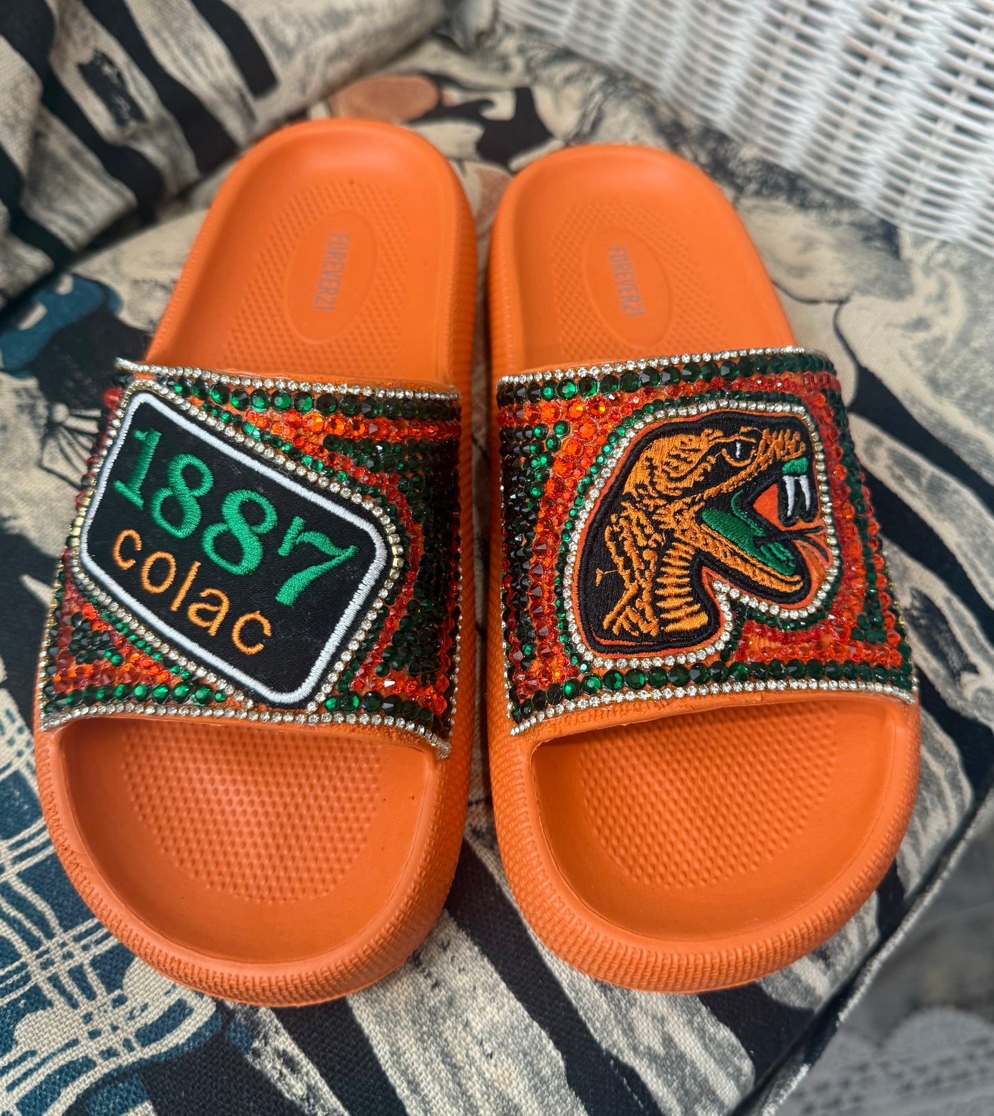 BLINGED FAMU SLIDES